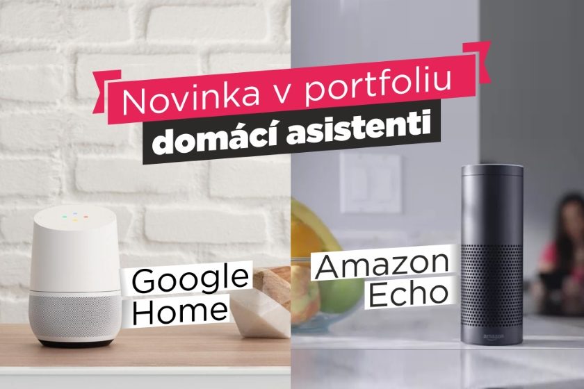 Amazon Echo Google Home