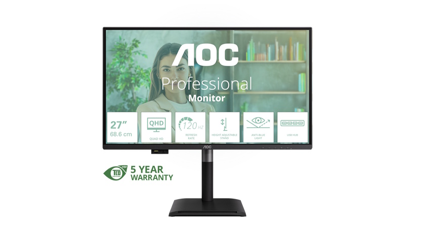AOC Professional P4